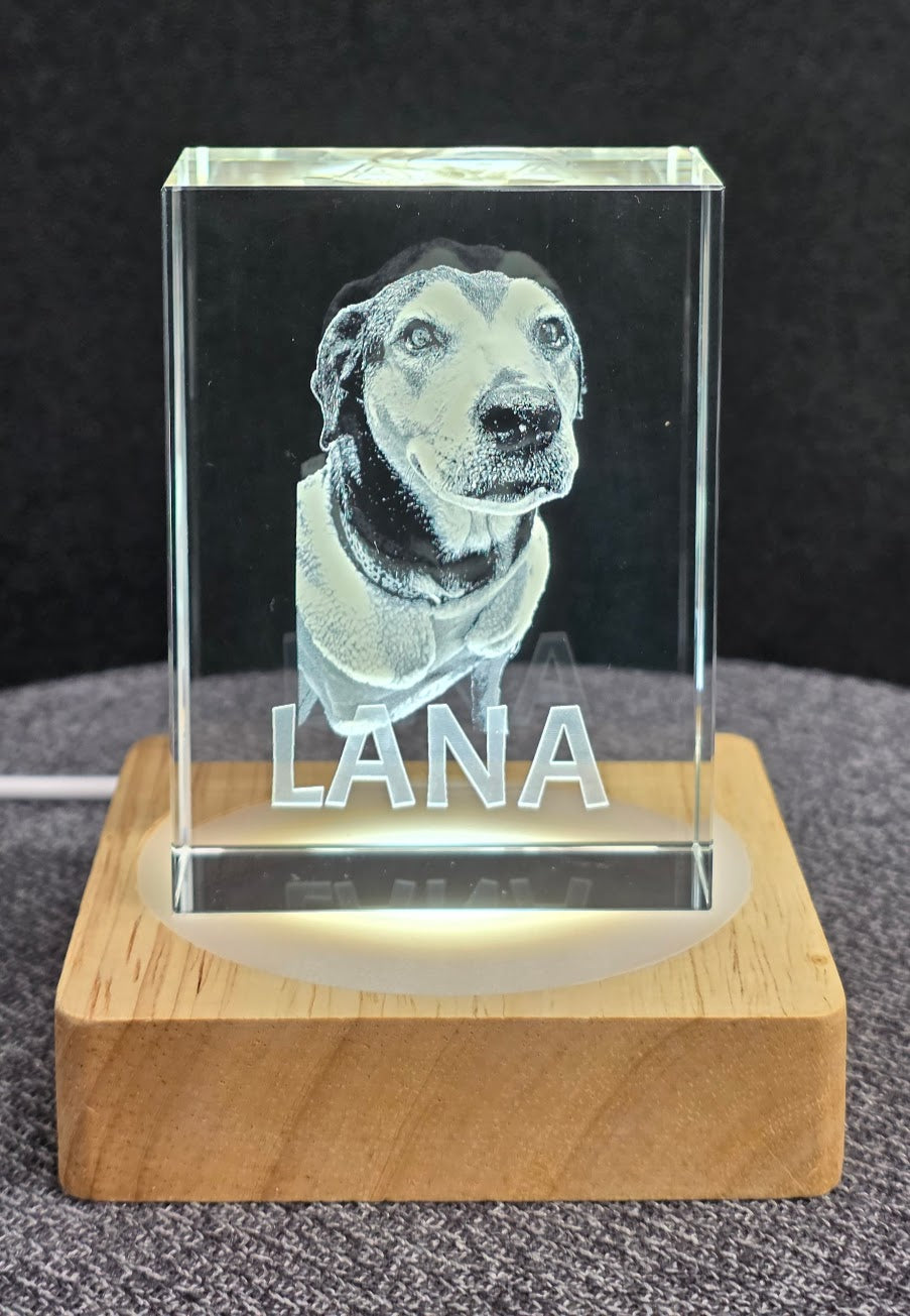 Pet Memorial Custom 3D Photo Crystal 2x3