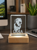 Pet Memorial Custom 3D Photo Crystal 2x3