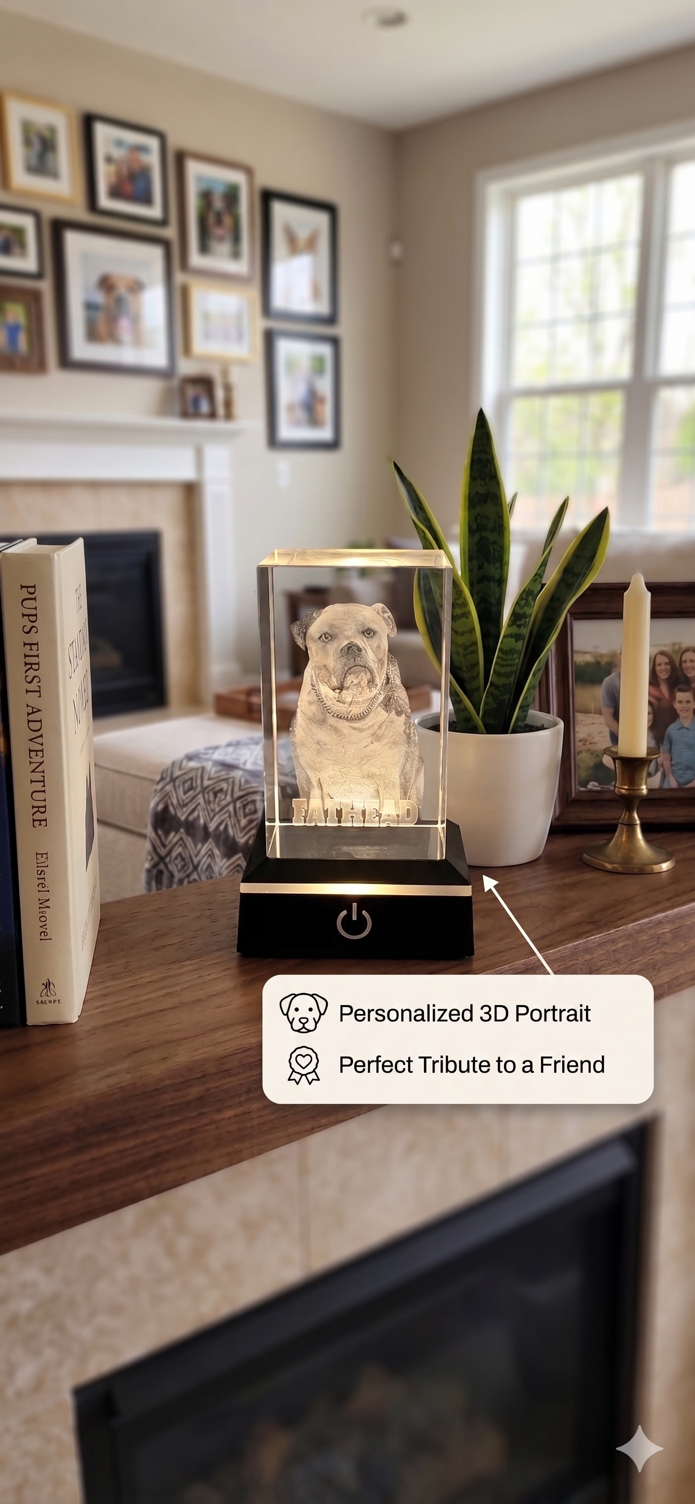 Pet Memorial Custom 3D Photo Crystal 2x3