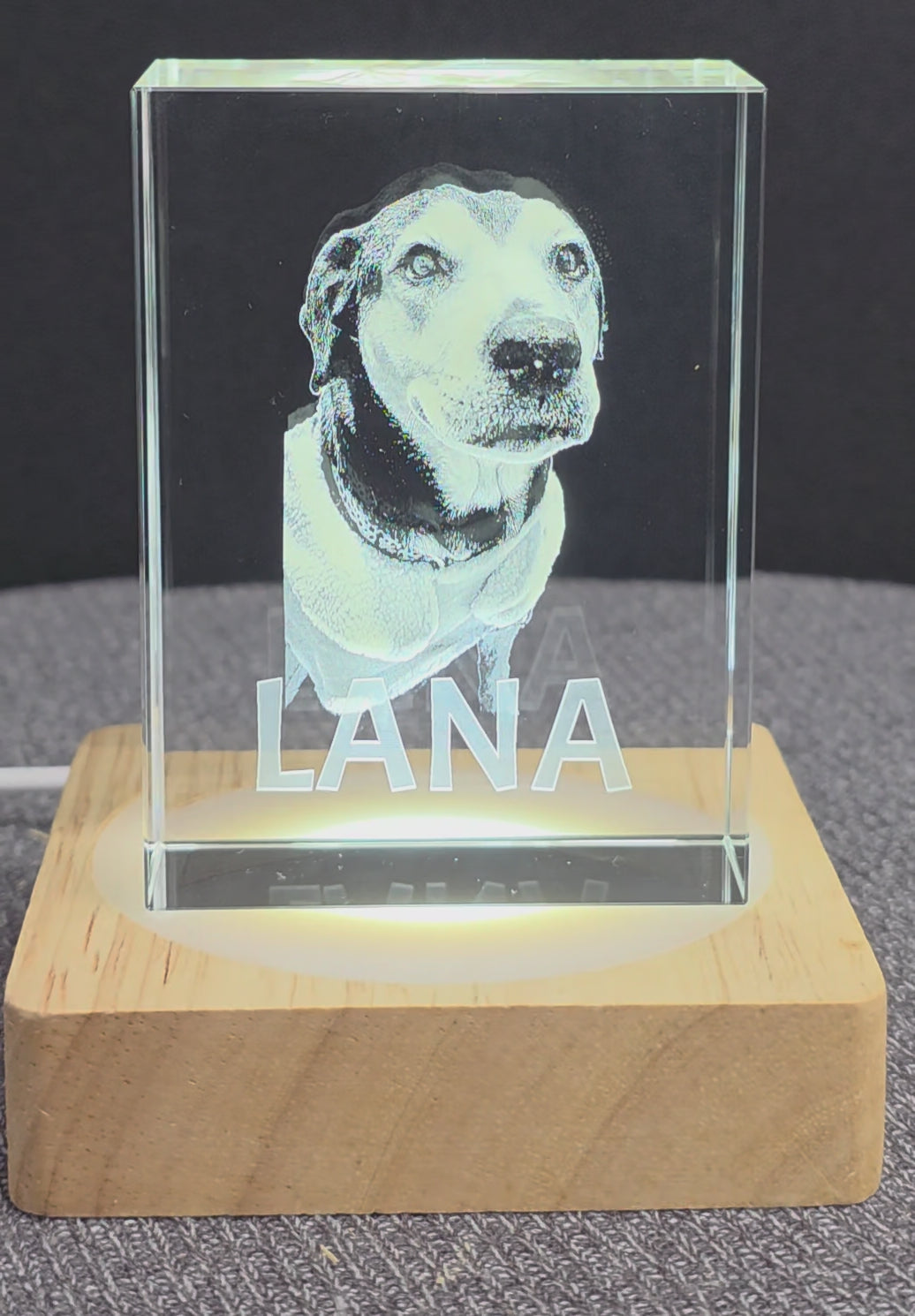 Pet Memorial Custom 3D Photo Crystal 2x3